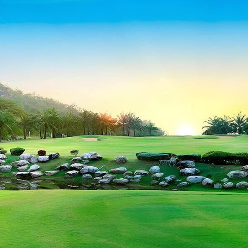 棕櫚山高爾夫 Palm Hills Golf Club