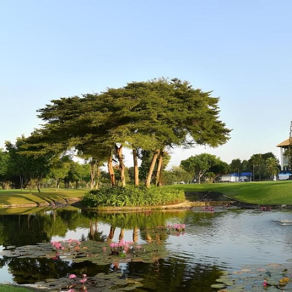 鳳凰黃金球場 Phoenix Golf