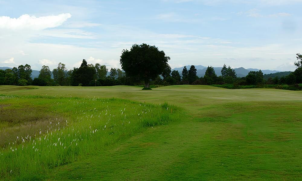 Golf @ Artitaya 阿堤塔亞