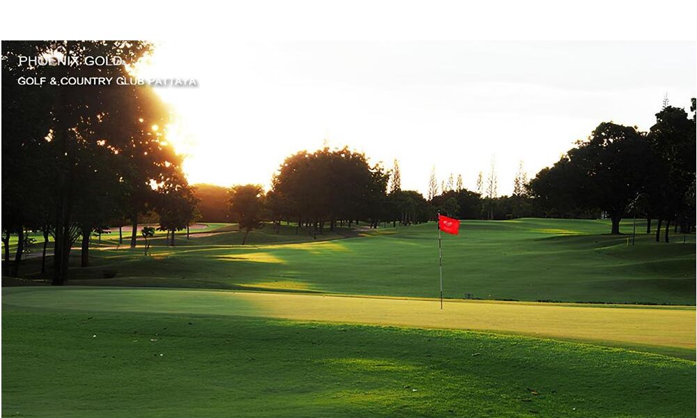 Golf @ Phoenix 鳳凰球場